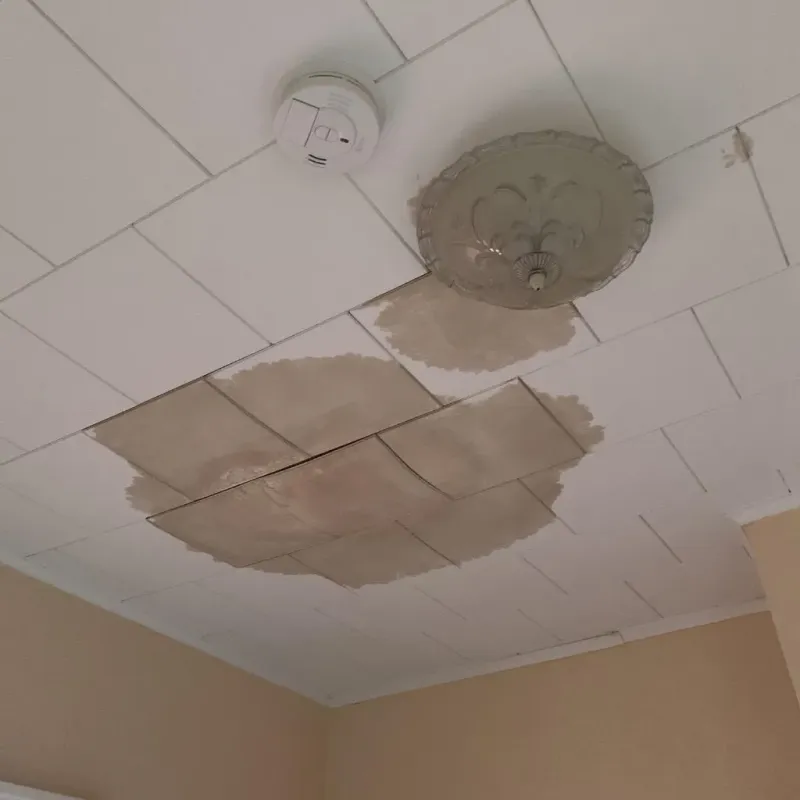 Ceiling Water Damage Repair in Mexico, ME