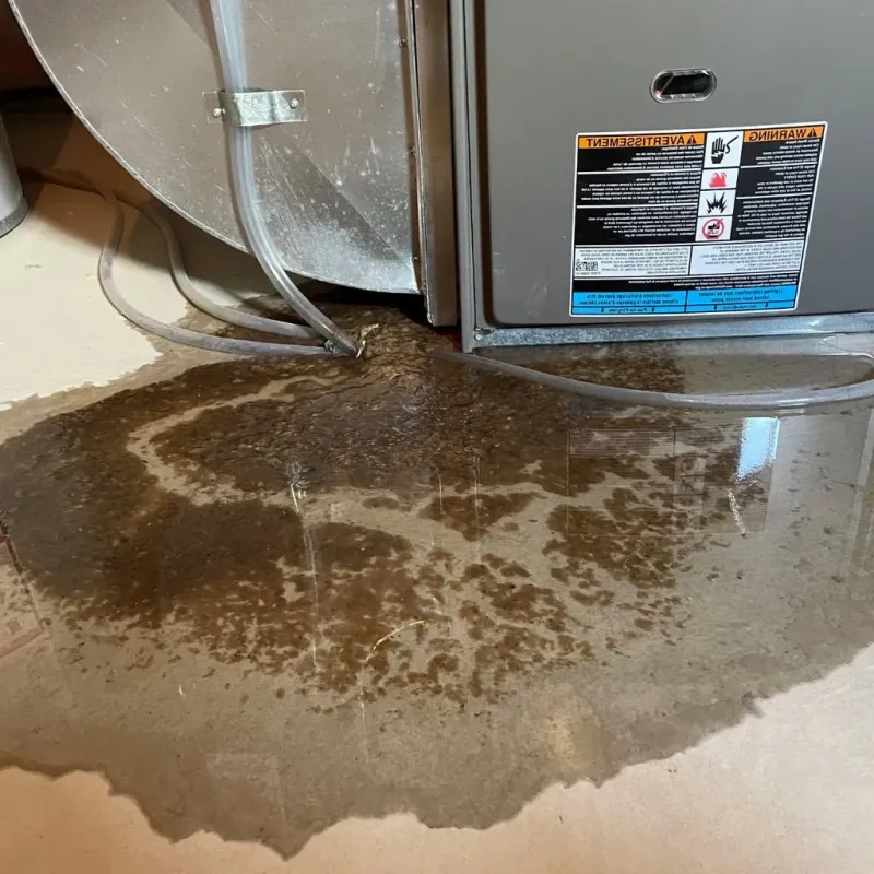 Pipe Burst and Leak Restoration in Mexico, ME