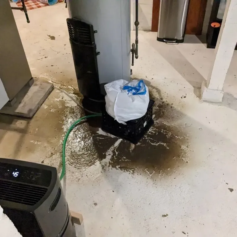 Sewage Backup Cleanup Service in Mexico, ME